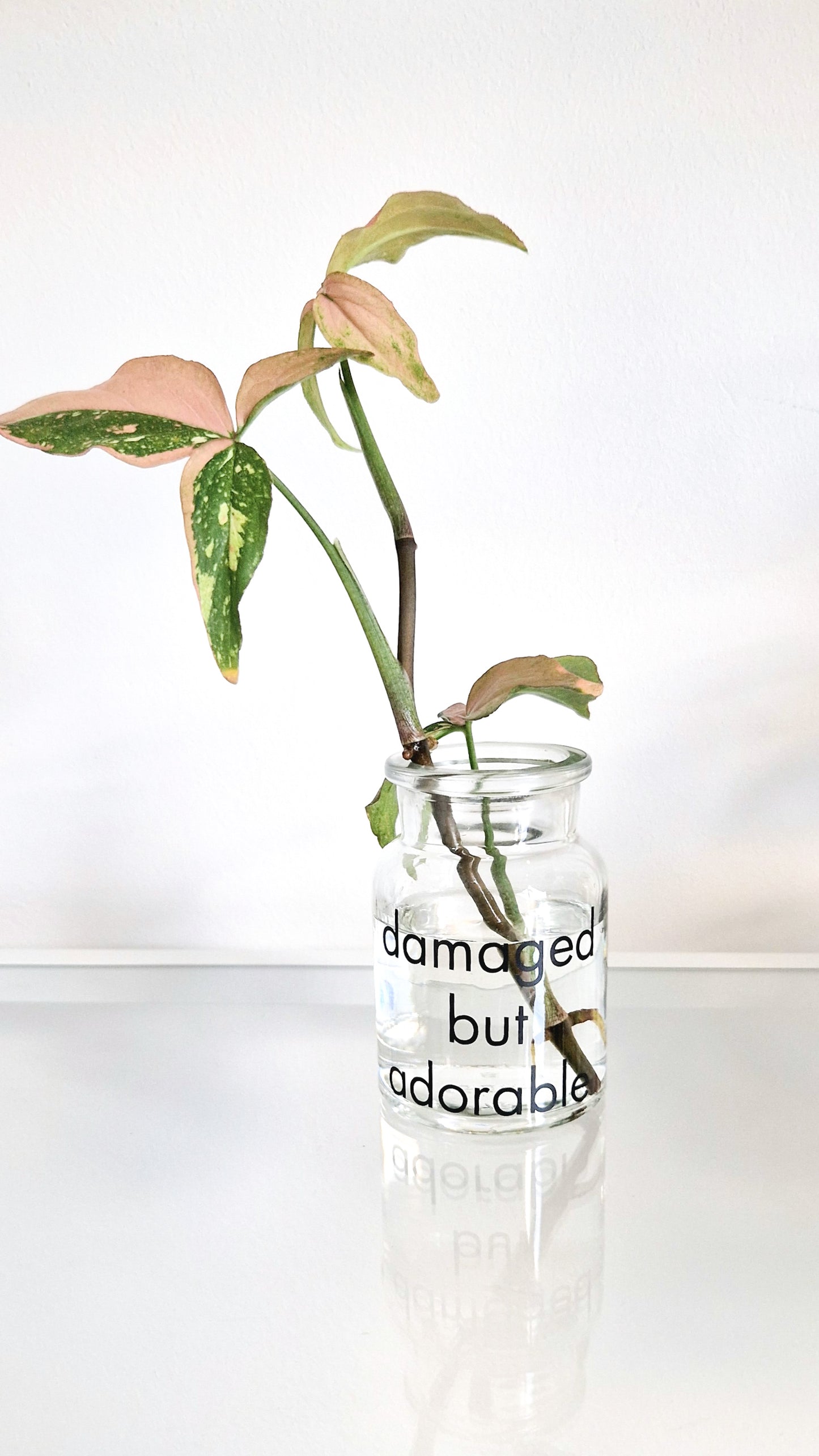 Vase - damaged but adorable