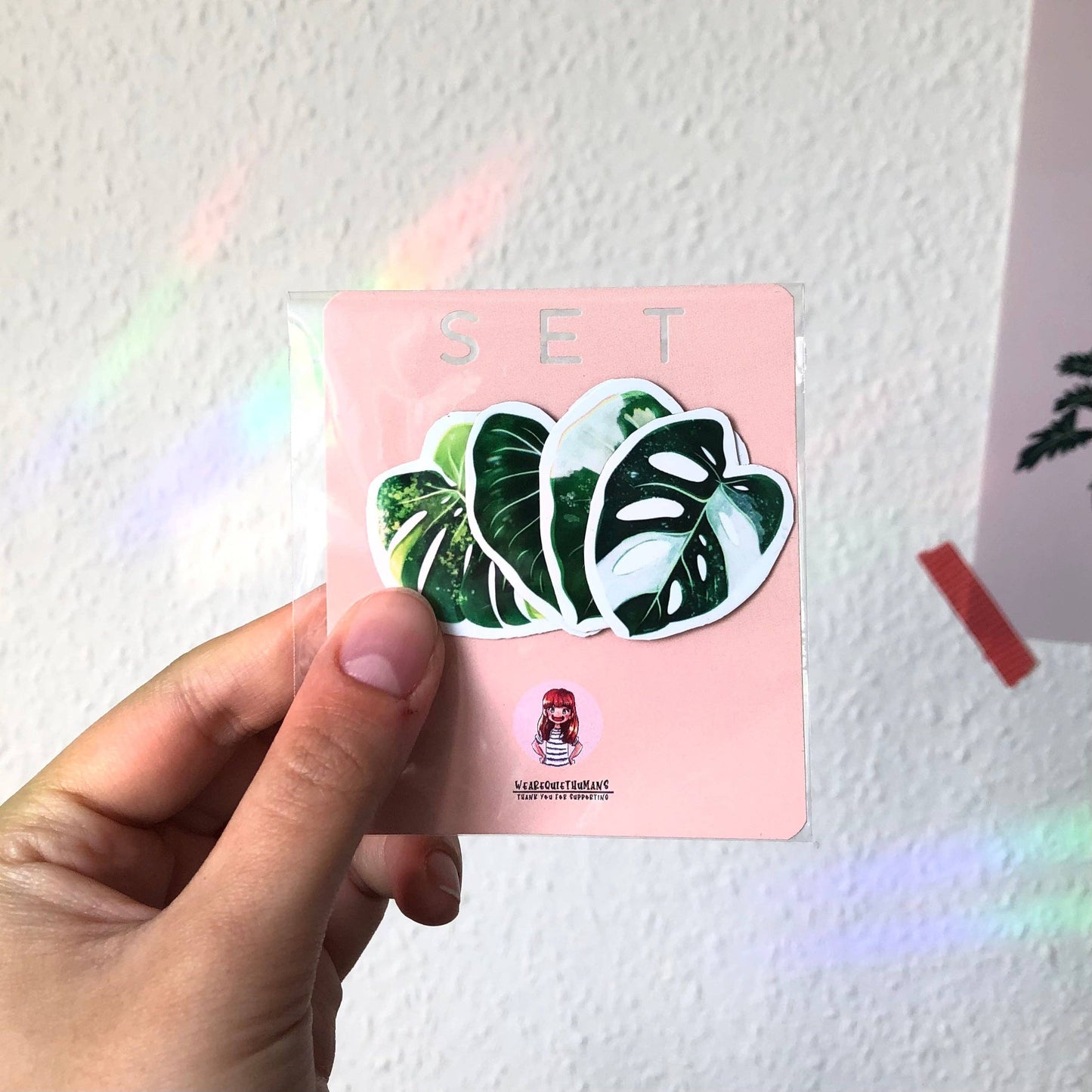 Magnet Set, Alocasia, Monstera, Monstera, Philodendron