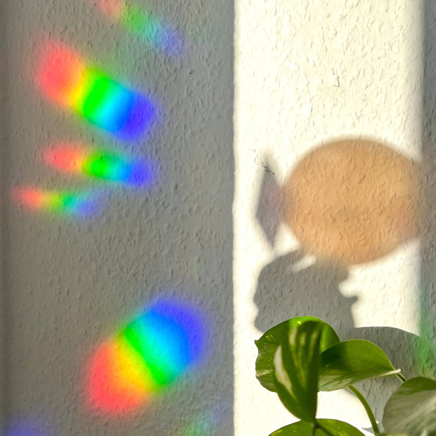 Suncatcher - Biene mit Monstera