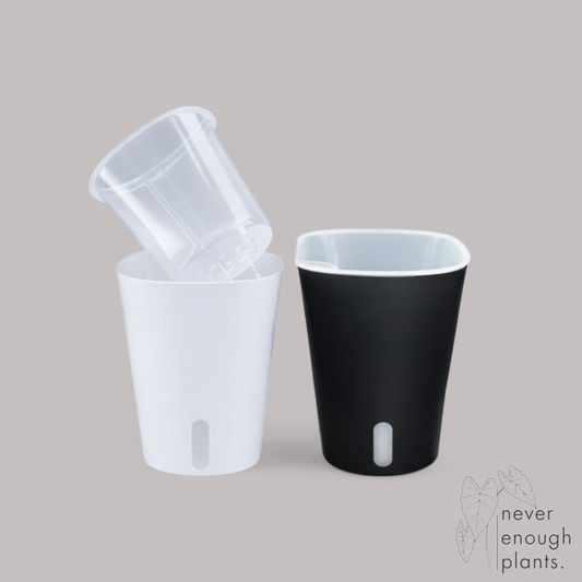 Self-Watering Pots mit klarem Innentopf
