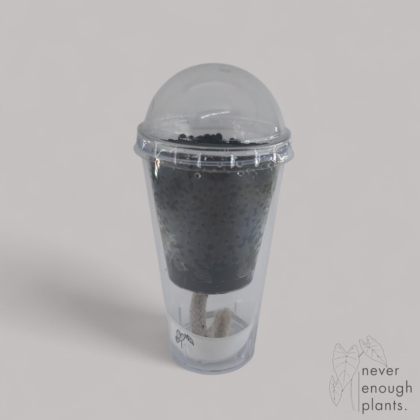 Selbstbewässerungs Anzuchttopf Set