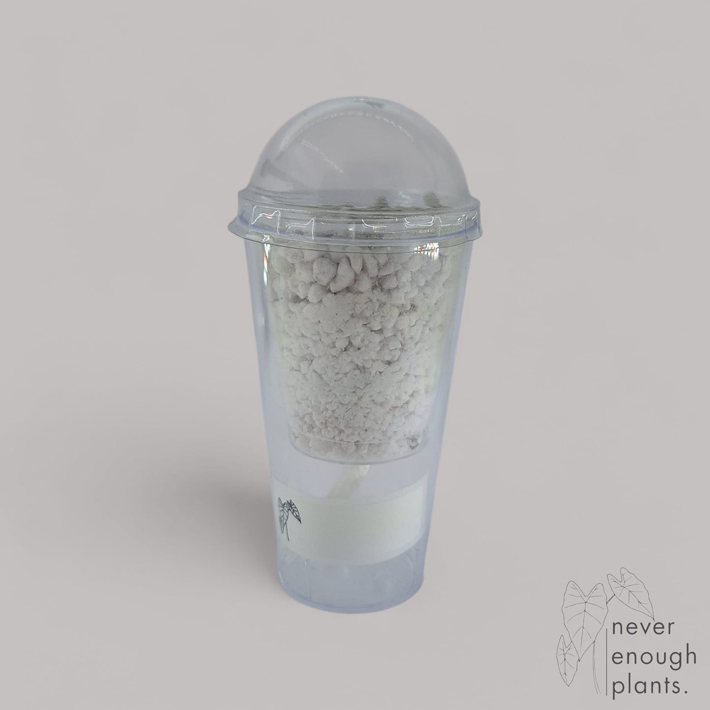 Selbstbewässerungs Anzuchttopf Set