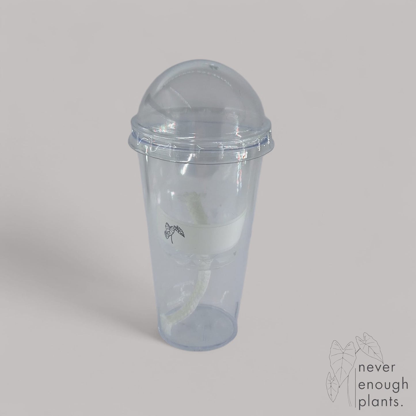 Selbstbewässerungs Anzuchttopf Set