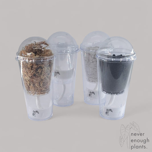 Selbstbewässerungs Anzuchttopf Set