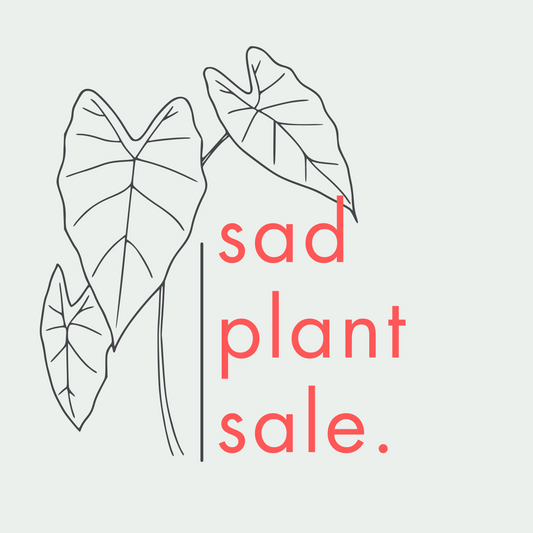 sad plant sale