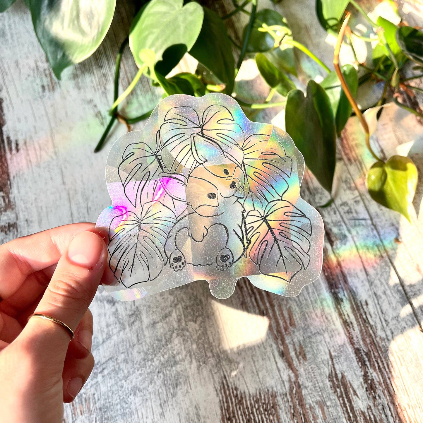 Suncatcher - Corgi mit Monstera