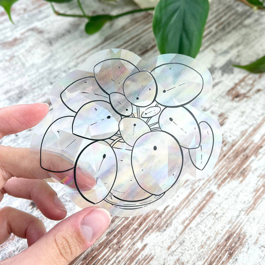 Suncatcher - Pilea