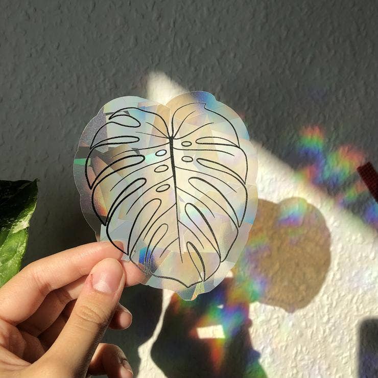 Suncatcher - Monstera deliciosa leaf